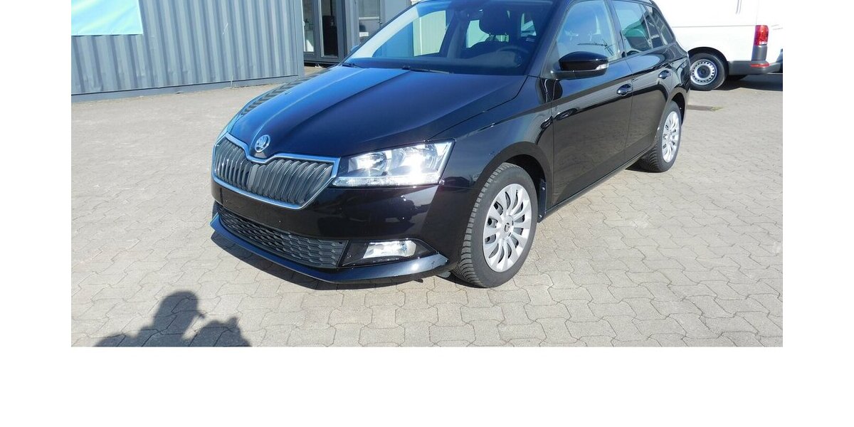 Skoda Fabia 1.0 Kombi Ambition TSI BMT Navi Klima 19.900 km 15.990 &euro; Vordorf 38533