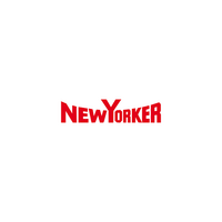 (SENIOR) CONTROLLER* IT PERFORMANCE & BUSINESS PROCESSES NEW YORKER Braunschweig 38112