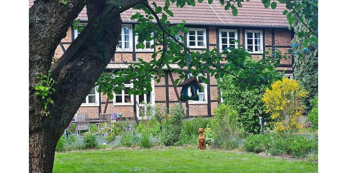 Bauernhaus, Landhaus Cremlingen Weddel - 1 Zimmer, 316 m&sup2;, 890.000&euro; | Angebot:25667755