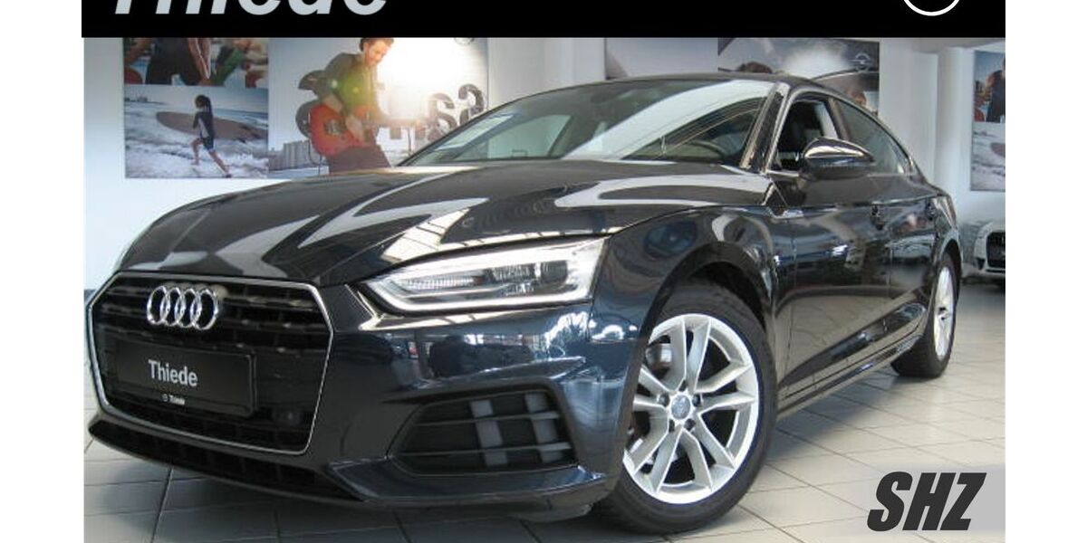 Audi A5 131.400 km 18.900 &euro; Schöningen 38364