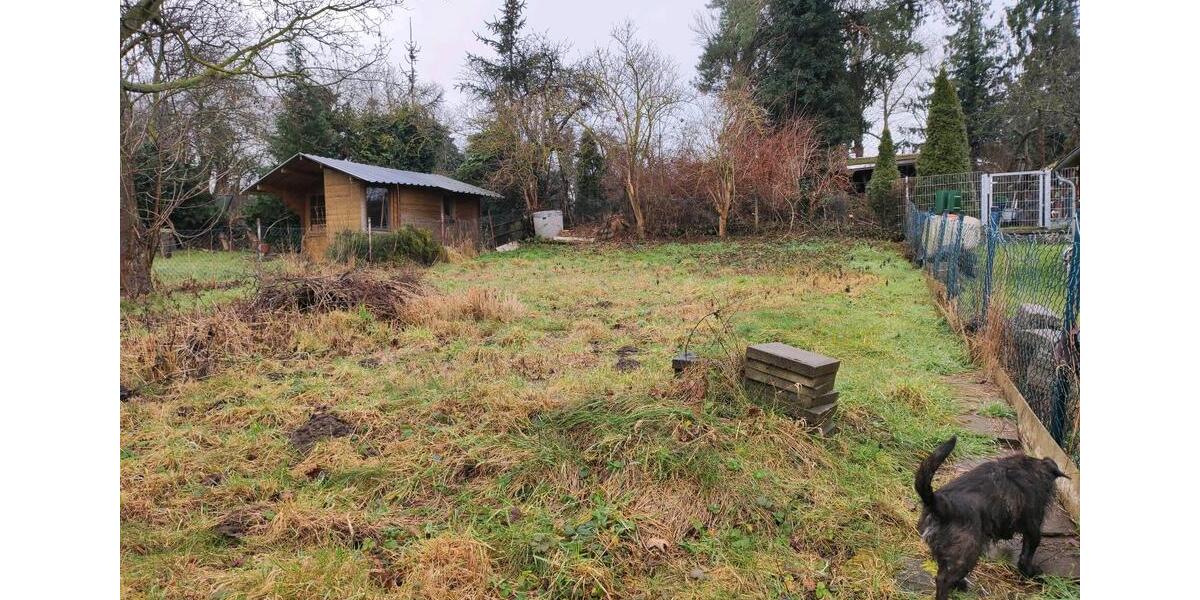 Reihenhaus Schladen-Werla Werla - 6 Zimmer, 84 m&sup2;, 60.000&euro; | Angebot:19043756