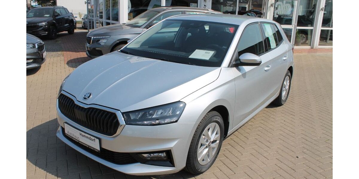 Skoda Fabia 5.000 km 18.490 &euro; Wolfenbüttel 38304