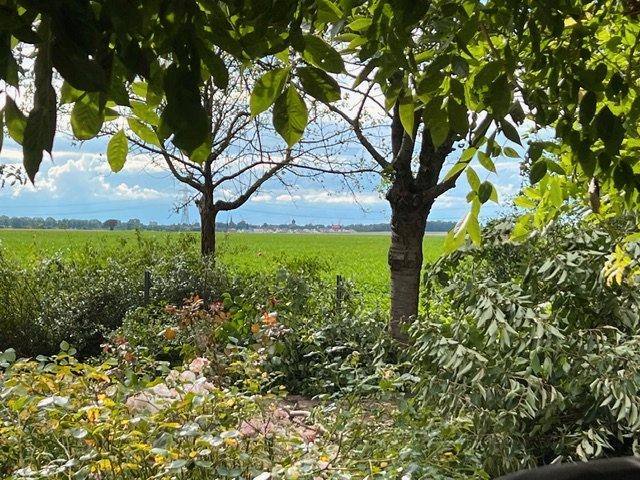 Einfamilienhaus Lengede - 5.5 Zimmer, 166 m&sup2;, 690.000&euro; | Angebot:25990420