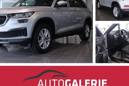 Skoda Kodiaq 113.500 km 22.950 &euro; Braunschweig 38116