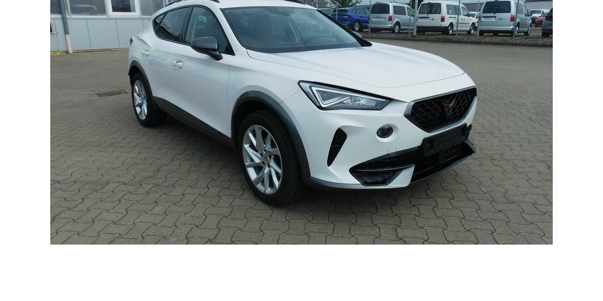 Cupra Formentor 1.5 TSI BMT Klima LED Alu Navi 29.900 km 21.990 &euro; Vordorf 38533