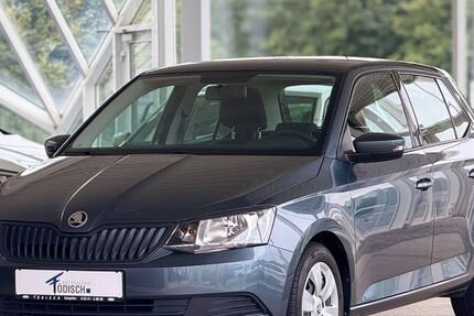 Skoda Fabia 81.808 km 7.790 &euro; Salzgitter 38228