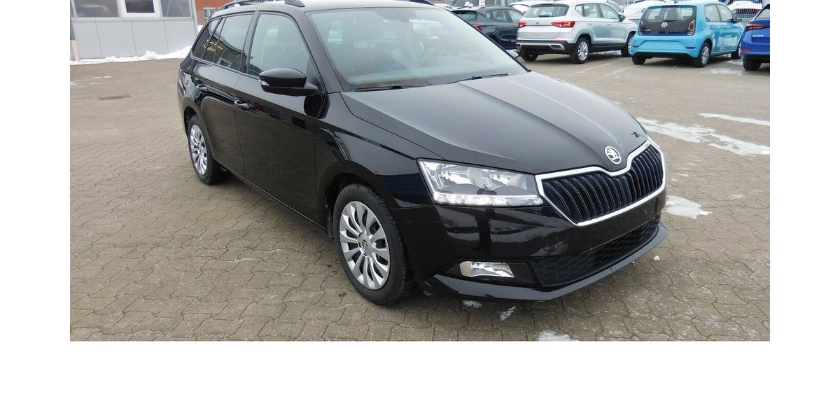 Skoda Fabia 1.0 Kombi Ambition TSI BMT Navi Klima 25.700 km 15.690 &euro; Vordorf 38533