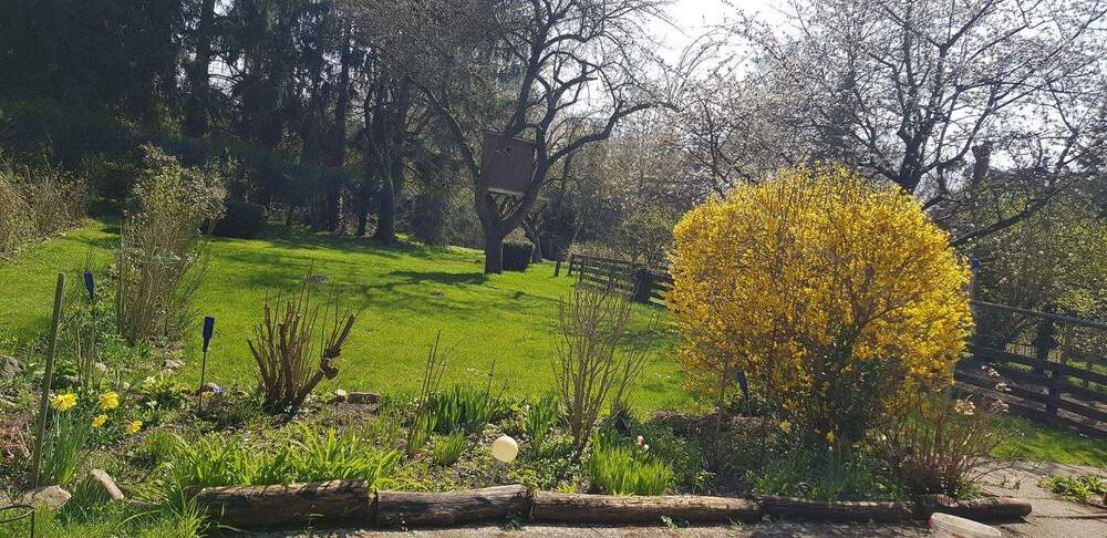 Bauernhaus, Landhaus Cremlingen Weddel - 1 Zimmer, 316 m&sup2;, 890.000&euro; | Angebot:25667755