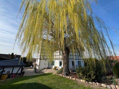 Einfamilienhaus Salzgitter Ortschaft Nord - 5 Zimmer, 190 m&sup2;, 550.000&euro; | Angebot:26168396