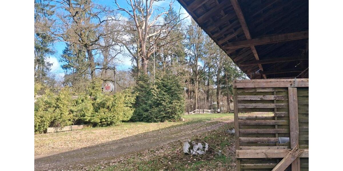 Einfamilienhaus Ilsede - 7 Zimmer, 130 m&sup2;, 250.000&euro; | Angebot:26132887