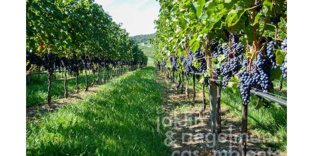 Einfamilienhaus Trento Westliches Ringgebiet - 8 Zimmer, 489 m&sup2;, 8.950.000&euro; | Angebot:22468673