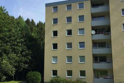 Wohnung Goslar Steinberg - 4 Zimmer, 101 m&sup2;, 805&euro; | Angebot:27032091