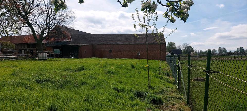 Bauernhaus, Landhaus Salzgitter Ortschaft Südost - 17 Zimmer, 456 m&sup2;, 670.000&euro; | Angebot:25310608