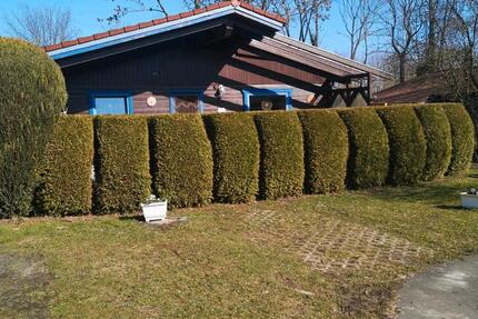 Haus Braunschweig Wabe-Schunter-Beberbach - 4 Zimmer, 80 m&sup2;, 100.000&euro; | Angebot:25445482