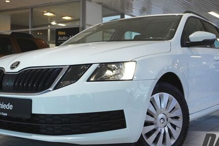 Skoda Octavia 142.000 km 11.390 &euro; Schöningen 38364