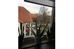 Dachgeschoßwohnung Braunschweig Wabe-Schunter-Beberbach - 2 Zimmer, 48 m&sup2;, 149.000&euro; | Angebot:27167663