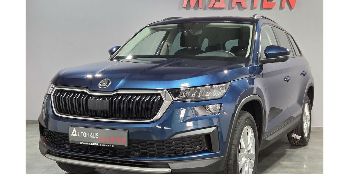 Skoda Kodiaq 100.000 km 25.749 &euro; Braunschweig 38112
