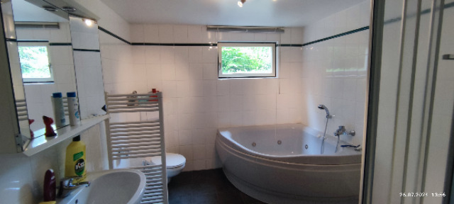 EFH mit Einliegerwohnung und Parkgrundstück in Schöningen - Einfamilienhaus Schöninngen | Angebot:24745629