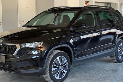 Skoda Karoq 142.642 km 21.950 &euro; Goslar 38642