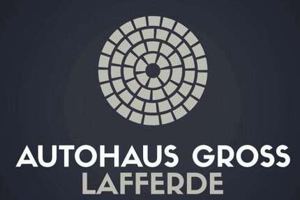 Tesla Model Y 49.000 km 37.990 &euro; Ilsede 31246