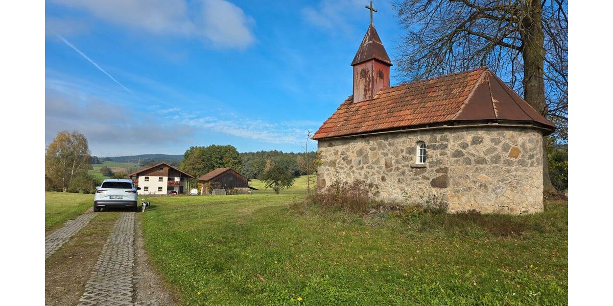 Skoda Enyaq 1.850 km 40.999 &euro; Braunschweig 38110