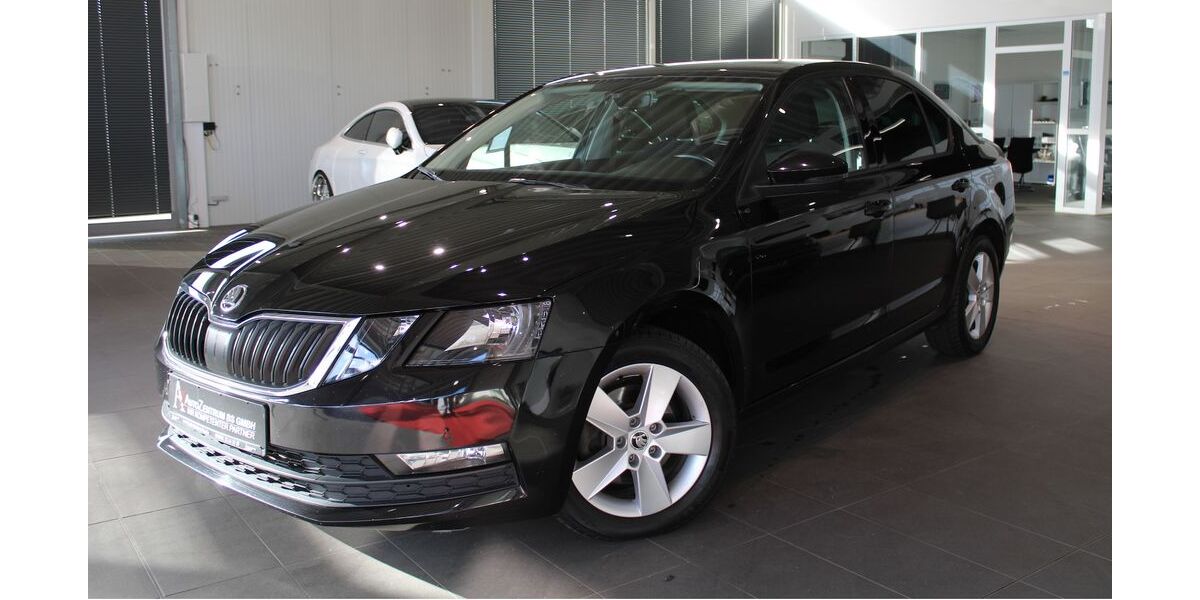 Skoda Octavia 131.720 km 14.390 &euro; Braunschweig 38126