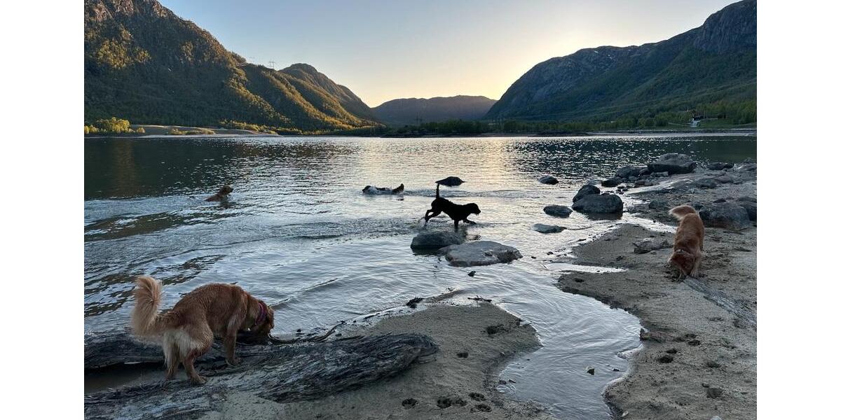 Einfamilienhaus Braunschweig Wabe-Schunter-Beberbach - 6 Zimmer, 298 m&sup2;, 157.000&euro; | Angebot:26068102