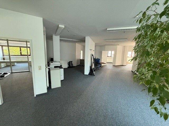 Gewerbeobjekt Braunschweig Innenstadt - 5 Zimmer, 396 m&sup2;, 3.564&euro; | Angebot:25734661