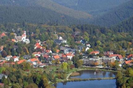 Wohnung Goslar OS Hahnenklee-Bockswiese - 1 Zimmer, 29 m&sup2;, 24.900&euro; | Angebot:25895281