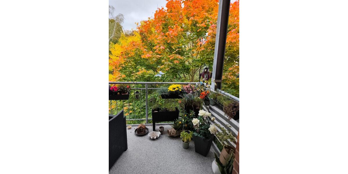 Etagenwohnung Braunschweig Östliches Ringgebiet - 3 Zimmer, 85 m&sup2;, 1.200&euro; | Angebot:25431756