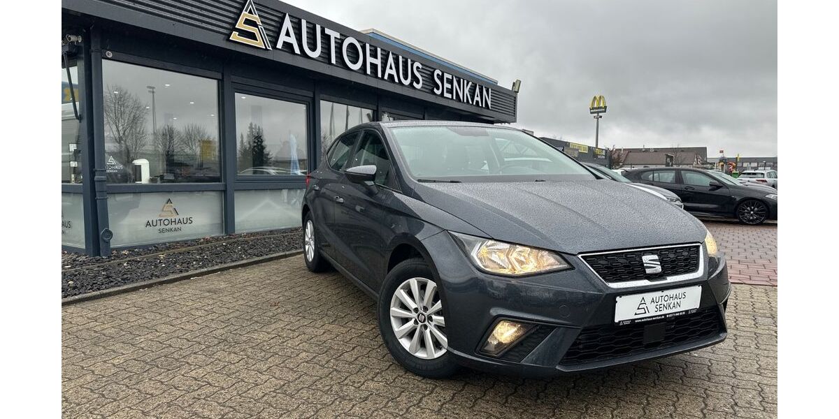 Seat Ibiza 175.000 km 9.490 &euro; Peine 31228