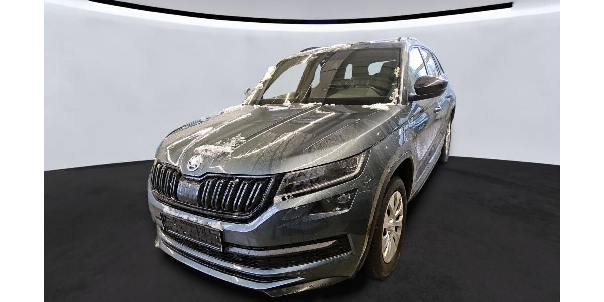 Skoda Kodiaq 227.620 km 19.990 &euro; Braunschweig 38122