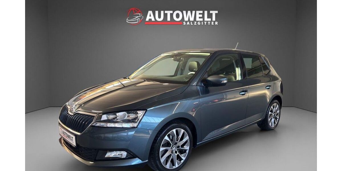 Skoda Fabia 89.000 km 14.999 &euro; Salzgitter 38229