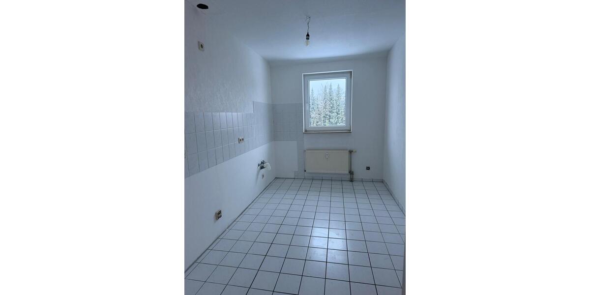 Dachgeschoßwohnung Langelsheim Ostlutter - 4 Zimmer, 99 m&sup2;, 680&euro; | Angebot:24371200