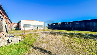 HALLENKOMPLEX MIT FREIFLÄCHEN UND WIESE - Gewerbeobjekt Ilsede | Angebot:26742682