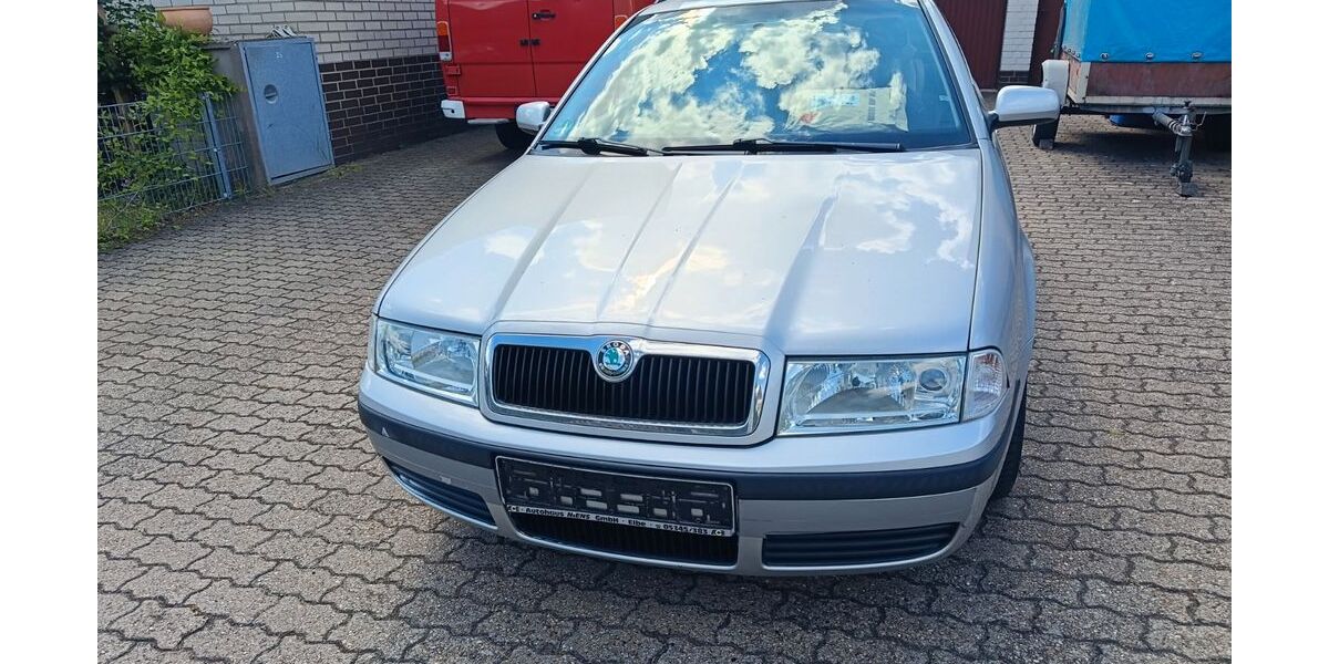 Skoda Octavia 166.177 km 1.750 &euro; Salzgitter 38229