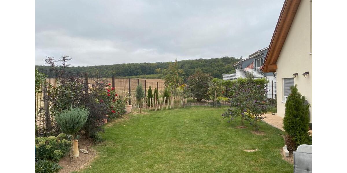 Einfamilienhaus Baddeckenstedt - 7 Zimmer, 249 m&sup2;, 695.000&euro; | Angebot:22419667