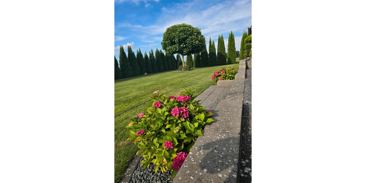 Einfamilienhaus Hillerse - 5 Zimmer, 121 m&sup2;, 429.000&euro; | Angebot:26101276