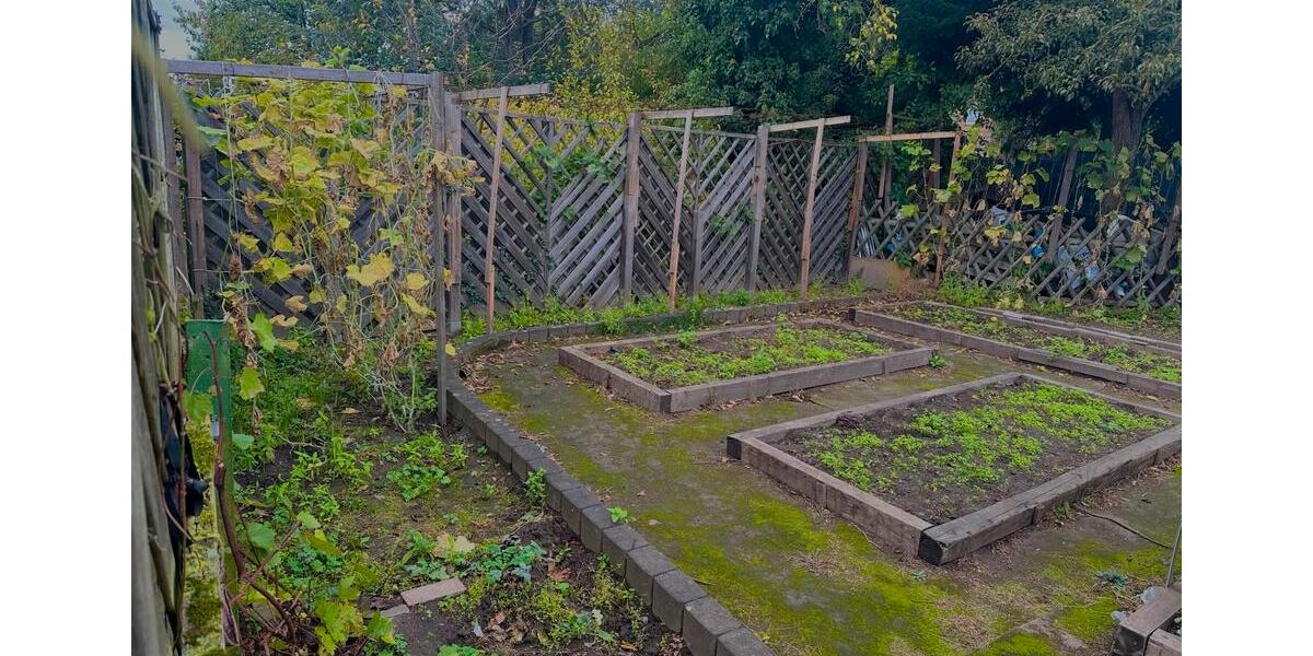 Mehrfamilienhaus, Wohnhaus Peine - 12 Zimmer, 245 m&sup2;, 320.000&euro; | Angebot:26125766