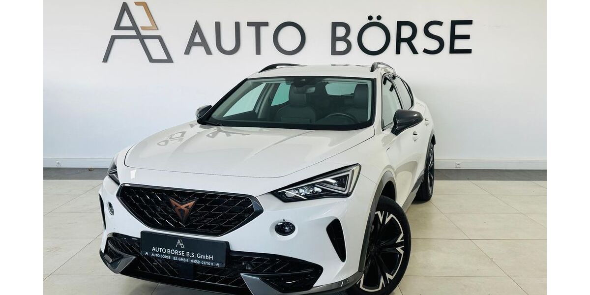 Cupra Formentor 106.780 km 18.890 &euro; Braunschweig 38114