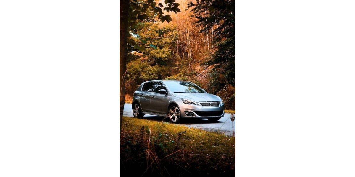 Peugeot 308 111.750 km 9.599 &euro; Langelsheim 38685