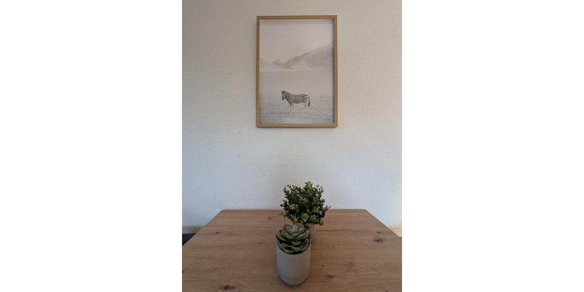 Etagenwohnung Salzgitter Ortschaft Ost - 3 Zimmer, 60 m&sup2;, 800&euro; | Angebot:25937155