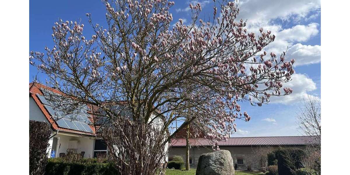 Einfamilienhaus Frellstedt - 7 Zimmer, 210 m&sup2;, 415.000&euro; | Angebot:26032471