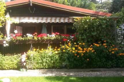 Haus Salzgitter Ortschaft Nord - 3 Zimmer, 40 m&sup2;, 85.000&euro; | Angebot:19596420