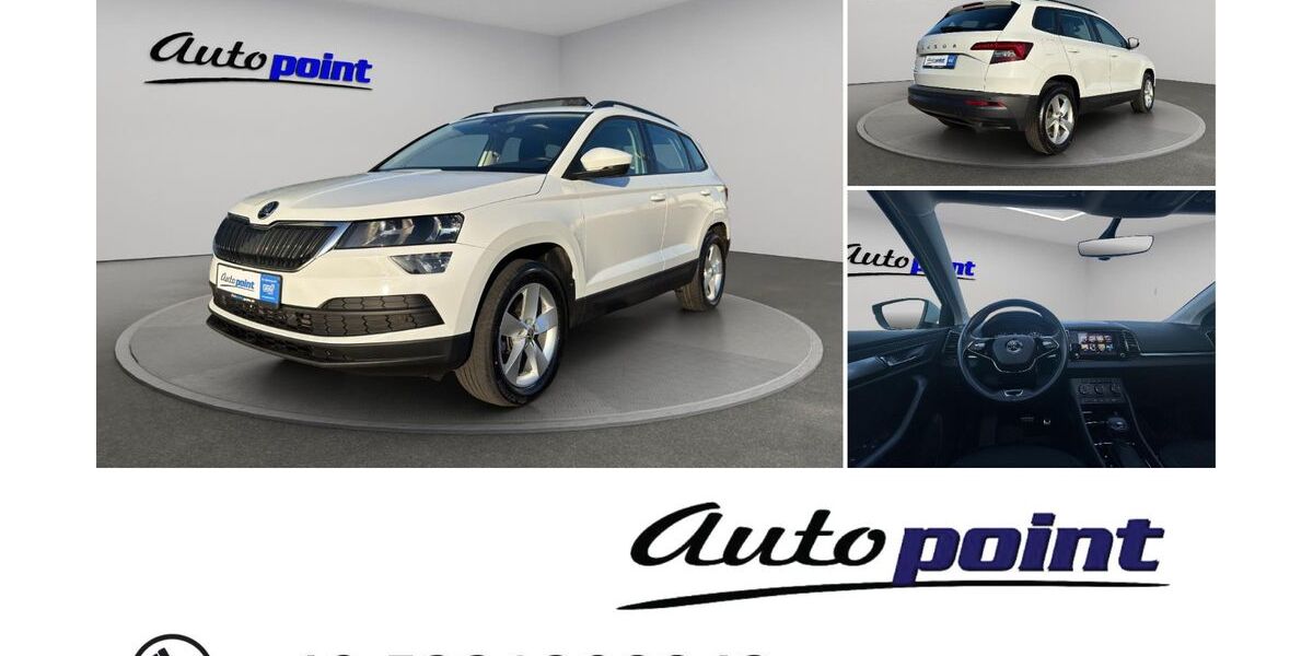 Skoda Karoq 175.000 km 18.950 &euro; Goslar 38644