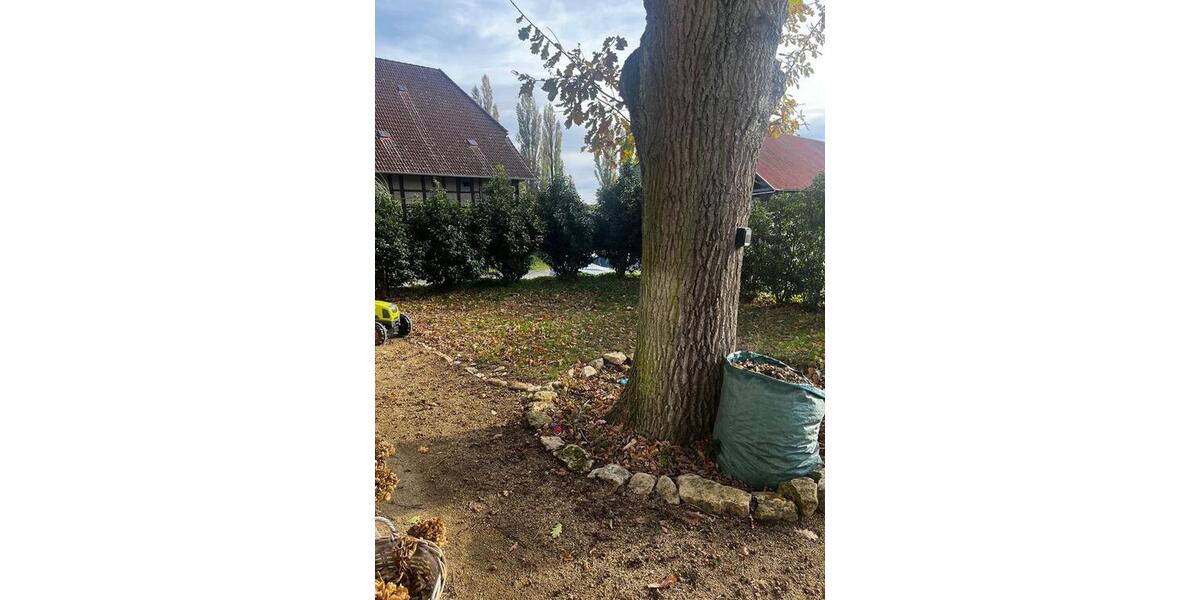 Mehrfamilienhaus, Wohnhaus Lehre - 5 Zimmer, 180 m&sup2;, 1.780&euro; | Angebot:26609584