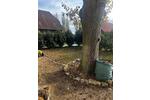 Mehrfamilienhaus, Wohnhaus Lehre - 5 Zimmer, 180 m&sup2;, 1.780&euro; | Angebot:26609584