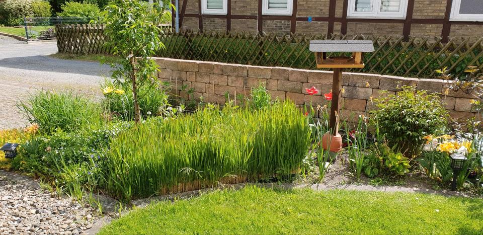 Einfamilienhaus Salzgitter Ortschaft Südost - 9 Zimmer, 196 m&sup2;, 320.000&euro; | Angebot:25637859