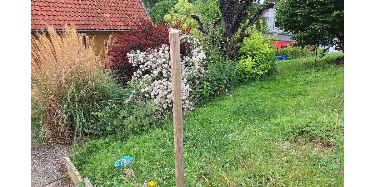 Mehrfamilienhaus, Wohnhaus Lutter Neuwallmoden - 8 Zimmer, 320 m&sup2;, 156.000&euro; | Angebot:26154913