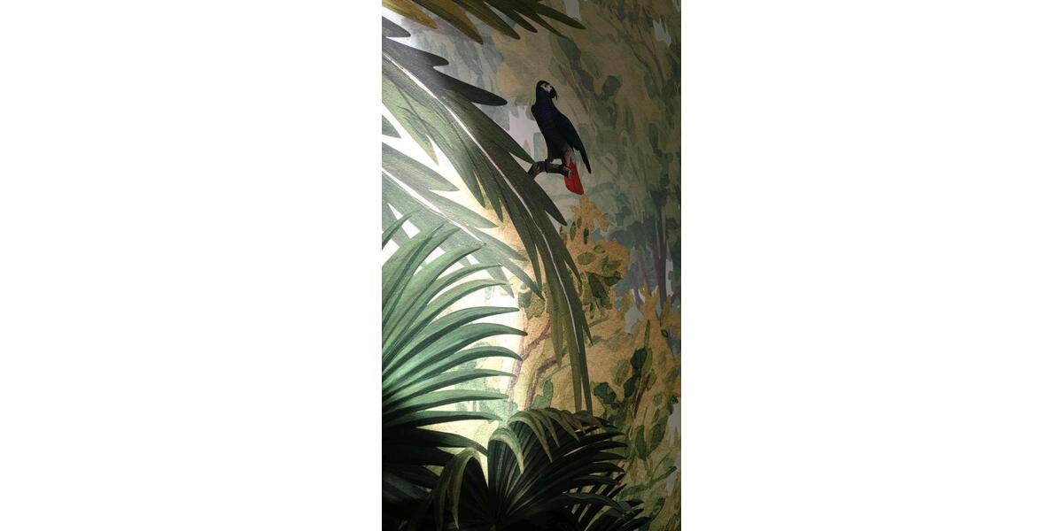 Gewerbeobjekt Braunschweig - 860&euro; | Angebot:24364868